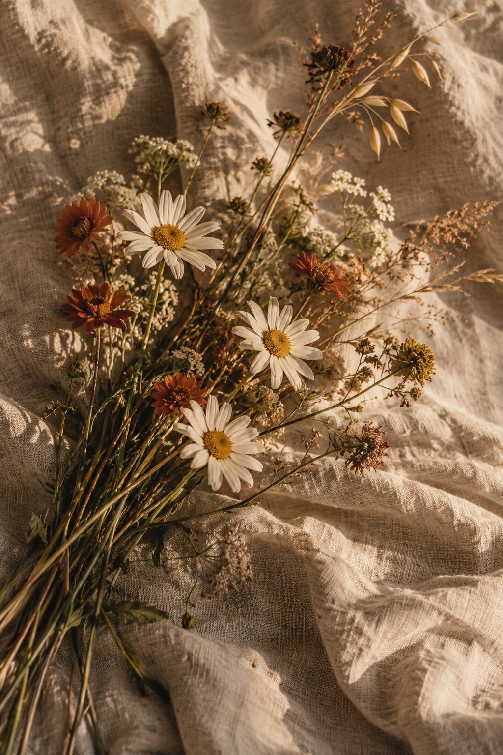 Wildflowers and dry grasses resting on sunlit linen